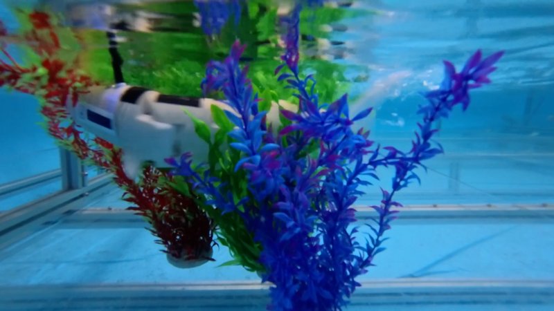 Robotic Fish Seaweed Crossing