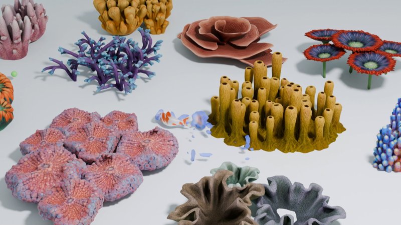 Fish navigating around coral reefs