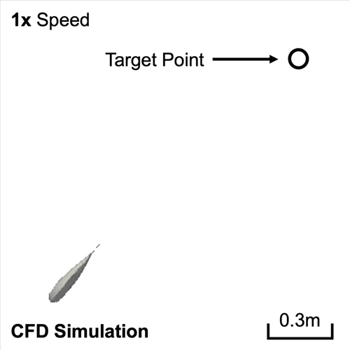 Learning Agile Swimming: An End-to-End Approach Without CPGs